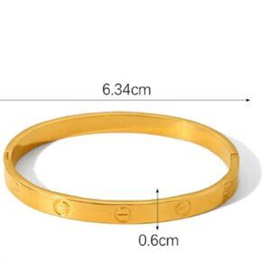 #295 Stainless Steel Inlay Gold Bangle